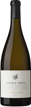 파슬라 우니카 2021