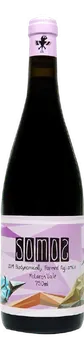 알리아니코