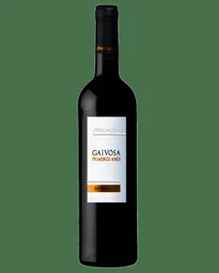 가이보사 프리메이로스 아노스 2022